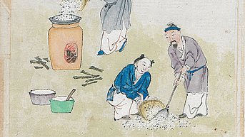 Mirabilitum