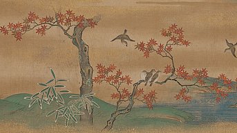Shiki hyakuchô zukan